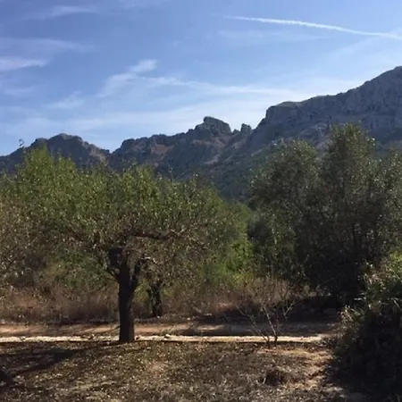 One Bed Overlooking Jalon Valley, Costa Blanca Alcalali