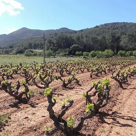 One Bed Overlooking Jalon Valley, Costa Blanca