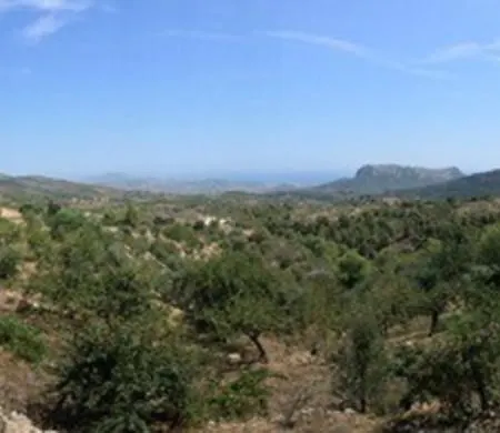 Appartement One Bed Overlooking Jalon Valley, Costa Blanca Alcalalí