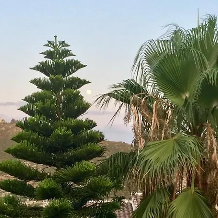 Apartment One Bed Overlooking Jalon Valley, Costa Blanca Alcalali